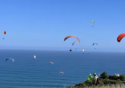 Farm21 Paragliding Wilderness