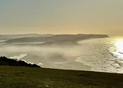 Farm21 screenshot November 2025