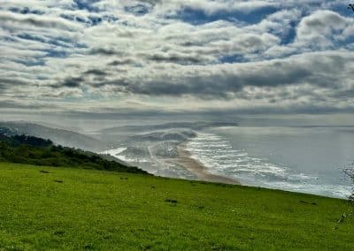 Farm21 misty morning in Wilderness