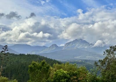 Farm21 Ecoresort Outeniqua-view