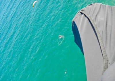 Sharks don't eat Paragliders