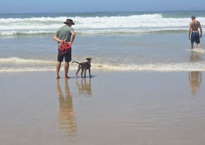 Gobi the Farm21 dog at the sea of the Garden Route