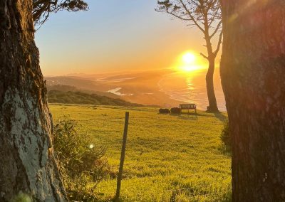 Sunrise at Farm21 Ecoresort Wilderness