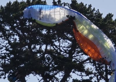 Paraglider hanging in a tree Garden Route