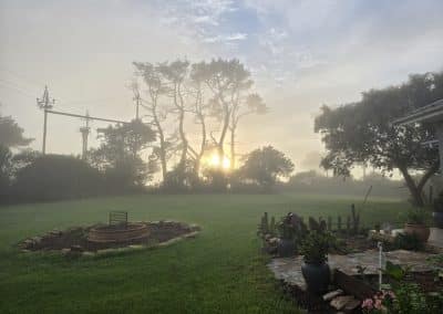 Misty sunrise at Farm21 Garden Route