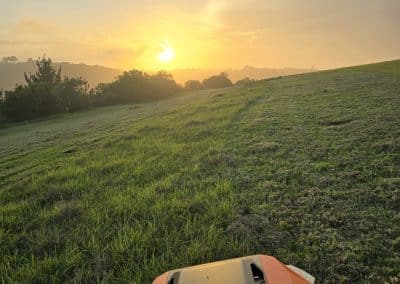 mowing in sunset