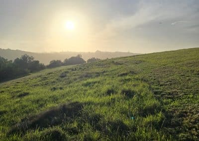 Mowing lawn in sunset at Farm21