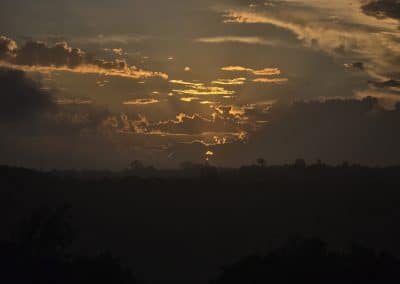 late Sunset at Farm21